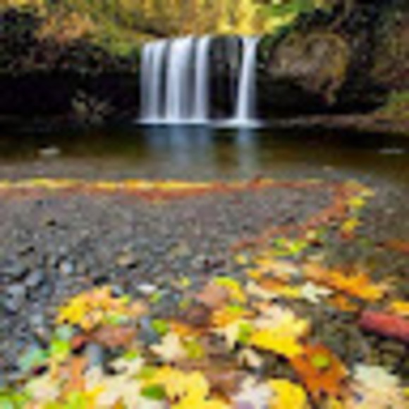 Meet your Posher, Vicki - Picture 1 of 1